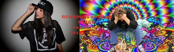 МДПВ Аркадак