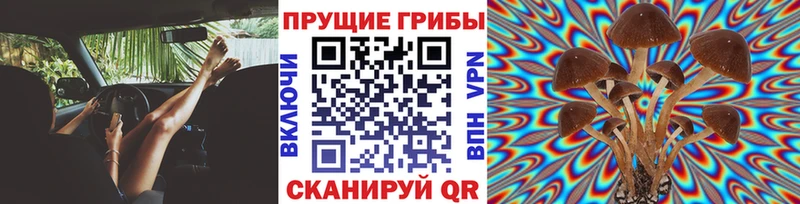 где найти   МЕГА сайт  Галлюциногенные грибы Cubensis  Перевоз 